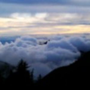 Meet your Posher, Ronald